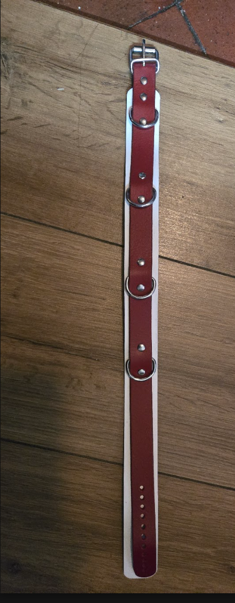 White and burgundy layered leather collar with silver-toned buckle and four D-rings